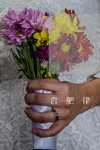 合肥律師哪所好(合肥比較好的律師)