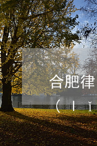 合肥律師怎么收費(fèi)怎么算鼎豐領(lǐng)航法律服務(wù)（合肥合同債務(wù)律師）