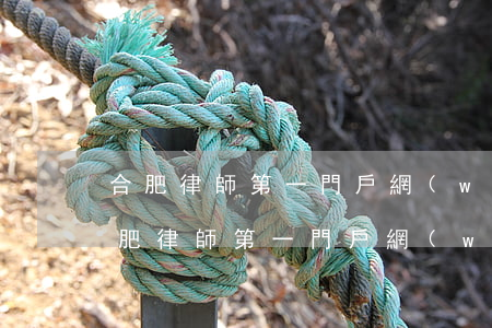 合肥律師第一門戶網(wǎng)蘇義飛(合肥律師第一門戶網(wǎng)蘇義飛)