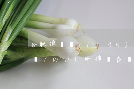 合肥律師聯(lián)系方式(合肥律師事務(wù)所律師在線咨詢)