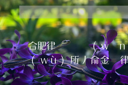 合肥律師門戶網(wǎng)龔前(合肥事務(wù)所丿俞金華律師)