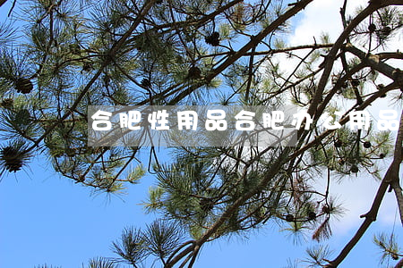 合肥性用品(合肥办公用品批发市场)