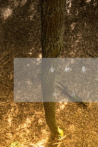 合肥房屋合同糾紛律師(合肥合同律師事務(wù)所)