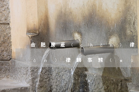 合肥房產(chǎn)律師(合肥房產(chǎn)律師事務(wù)所哪個好)