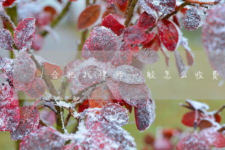 合肥找律师一般怎么收费鼎丰领航(律师咨询合肥)