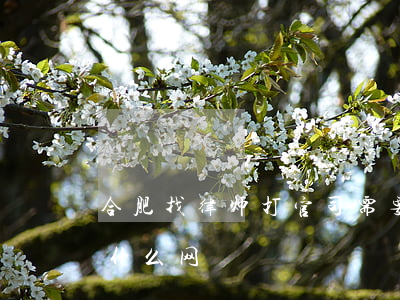 合肥找律师打官司需要多少钱(合肥找律师上什么网)