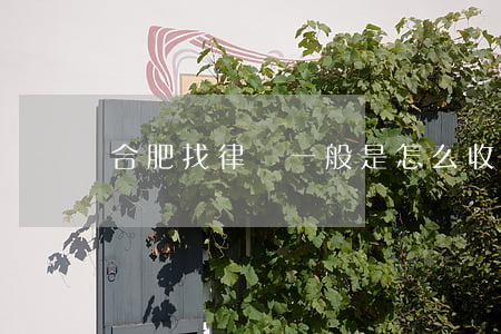 合肥找律師一般是怎么收費(fèi)的