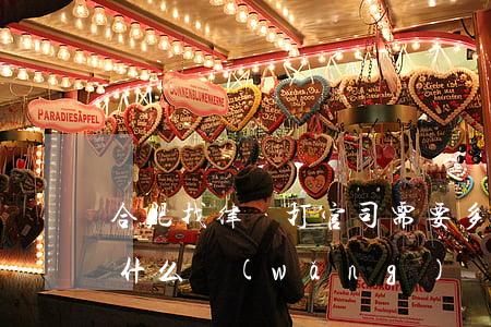 合肥找律師打官司需要多少錢(合肥找律師上什么網(wǎng))