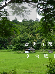 合肥拆遷律師事務(wù)所排行榜(2019合肥十大律師事務(wù)所排名)