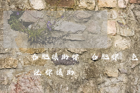 合肥援助律師(合肥律師免費(fèi)咨詢法律援助)