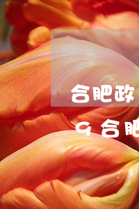 合肥政務區(qū)律師事務所排行(2019合肥十大律師事務所排名)