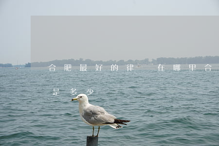 合肥最好的律師在哪里(合肥律師所咨詢電話是多少)