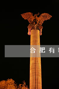合肥有哪些知名律師(合肥十佳律師)