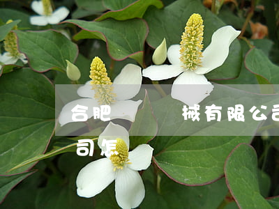 合肥東昇機械有限公司(合肥東昇機械有限公司怎樣)