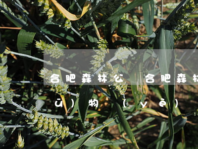 合肥森林公園(合肥森林公園紅梅苑小區(qū)物業(yè)電話)