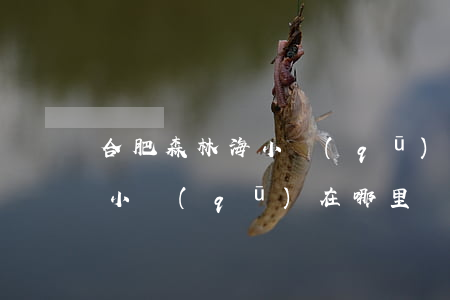 合肥森林海小區(qū)怎么樣(合肥森林城小區(qū)在哪里)
