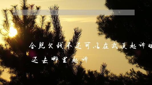 合肥欠钱不还可以在武汉起诉吗(武汉欠钱不还去哪里起诉)
