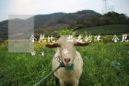 合肥比較出名的律師(合肥有名的律師事務(wù)所)