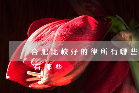 合肥比較好的律所有哪些(合肥比較好的律所有哪些)