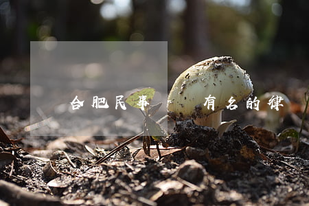 合肥民事糾紛有名的律師(合肥著名律師)