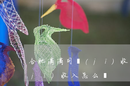 合肥滴滴司機(jī)收入(合肥滴滴司機(jī)收入怎么樣)