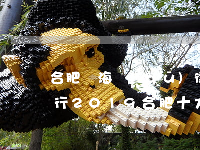 合肥瑤海區(qū)律師事務(wù)所排行(2019合肥十大律師事務(wù)所排名)