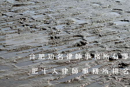 合肥知名律師事務所有哪些哪些(2019合肥十大律師事務所排名)