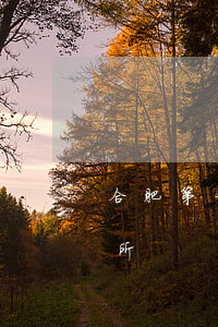 合肥第一大律師(合肥知名律師事務(wù)所)