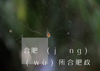 合肥經(jīng)開區(qū)律師事務(wù)所(合肥政務(wù)區(qū)律師事務(wù)所)