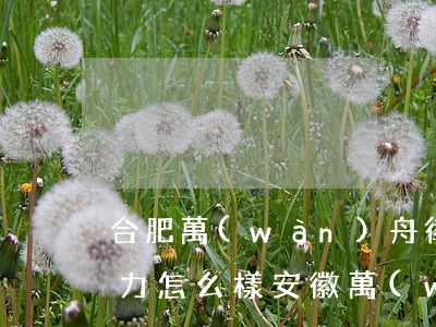 合肥萬(wàn)舟律師事務(wù)所能力怎么樣(安徽萬(wàn)舟律師事務(wù)所)
