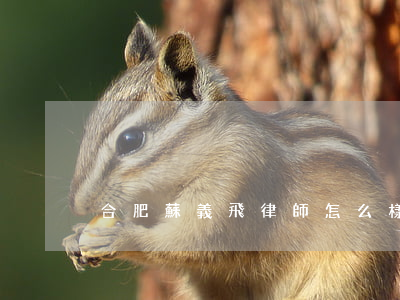 合肥蘇義飛律師怎么樣(合肥陳軍律師)
