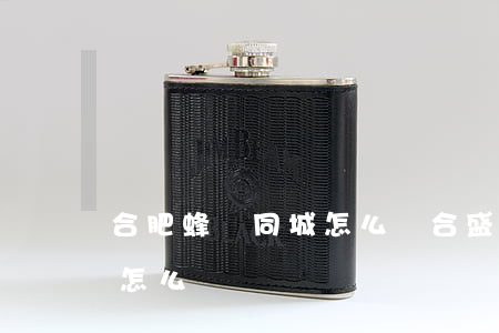 合肥蜂鳥同城怎么樣(合盛蜂鳥科技有限公司怎么樣)