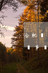 合肥請(qǐng)律師一般多少錢(合肥律師事務(wù)所咨詢免費(fèi))