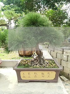 合肥請(qǐng)律師一般多少錢(合肥律師電話號(hào)碼)