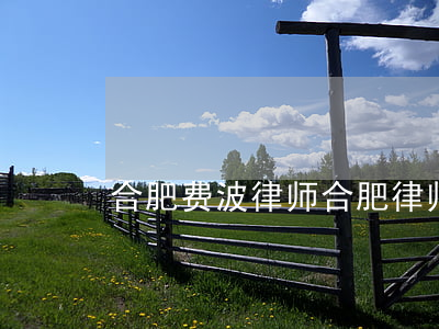 合肥费波律师(合肥律师事务所律师在线咨询)