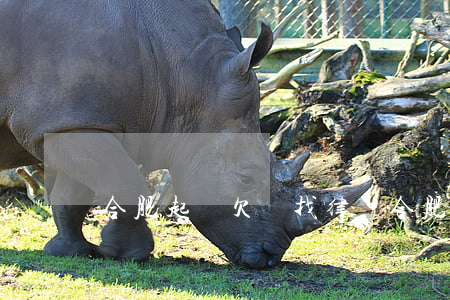合肥起訴欠錢找律師 合肥訴訟律師