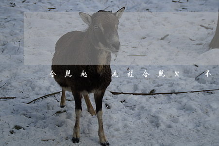 合肥起訴流程（合肥欠錢不還如何起訴）