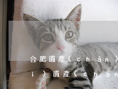 合肥遺產(chǎn)律師怎么收費(fèi)(遺產(chǎn)官司的律師收費(fèi)標(biāo)準(zhǔn))