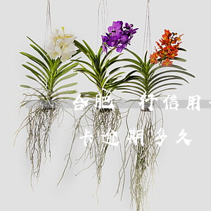 合肥銀行信用卡逾期多久會起訴(貸款跟信用卡逾期多久,銀行會起訴)