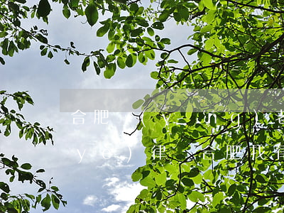 合肥養(yǎng)老服務(wù)專業(yè)律師(合肥找律師)