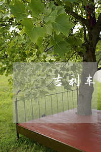 吉利车贷逾期被起诉(吉利车贷逾期被起诉)
