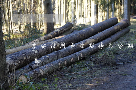 吉安信用卡逾期停息分期怎么協(xié)商