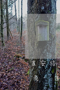 吉安信用卡逾期債務重組怎么協(xié)商-吉安信用卡逾期債務重組怎么協(xié)商還款