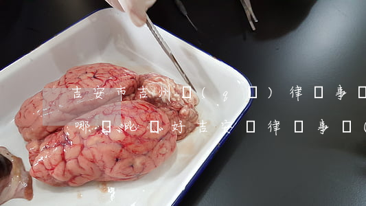 吉安市吉州區(qū)律師事務(wù)所哪個比較好(吉安縣律師事務(wù)所列表)