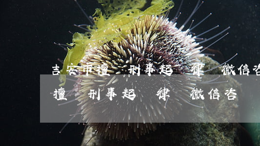 吉安市擅長刑事起訴律師微信咨詢-吉安市擅長刑事起訴律師微信咨詢電話