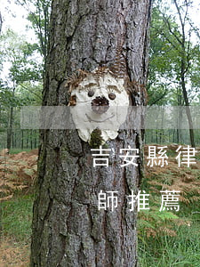 吉安縣律師（吉安市吉州債務(wù)合同律師推薦）