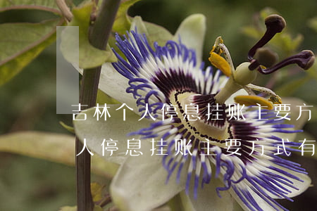吉林个人停息挂账主要方式有哪些-吉林个人停息挂账主要方式有哪些呢