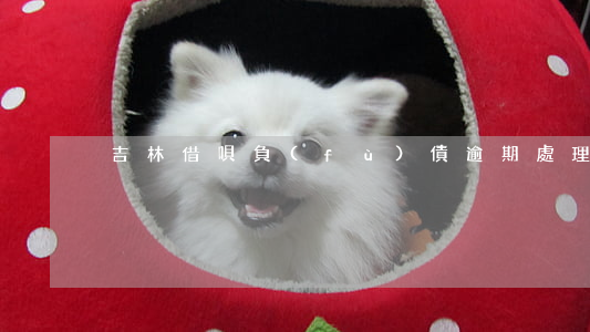 吉林借唄負(fù)債逾期處理方法