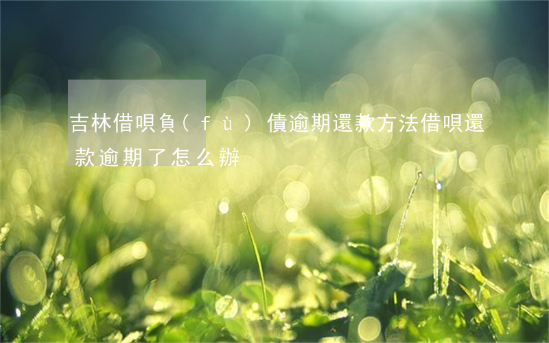 吉林借唄負(fù)債逾期還款方法(借唄還款逾期了怎么辦)