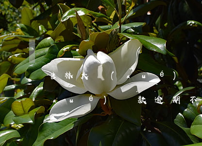 吉林大學(xué)貸款多了還不起(大學(xué)貸款逾期不還會(huì)怎么樣)